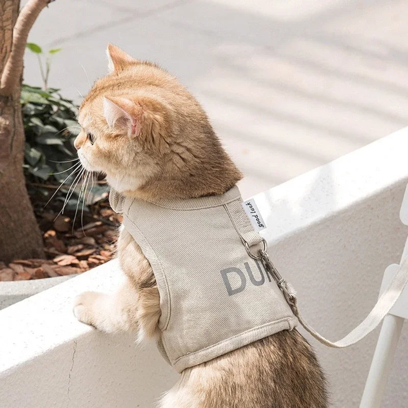 Pet Chest Back Leash.